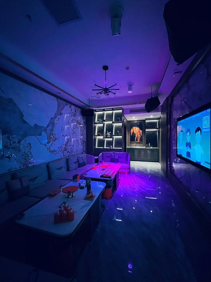 贵阳商务KTV，玩转商务KTV的新潮玩法-南明区ktv预定